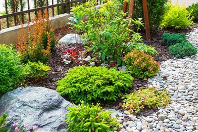 Residential Bush and Rocks Landscape — Pawleys Island, SC — Waccamaw Landscaping and Construction