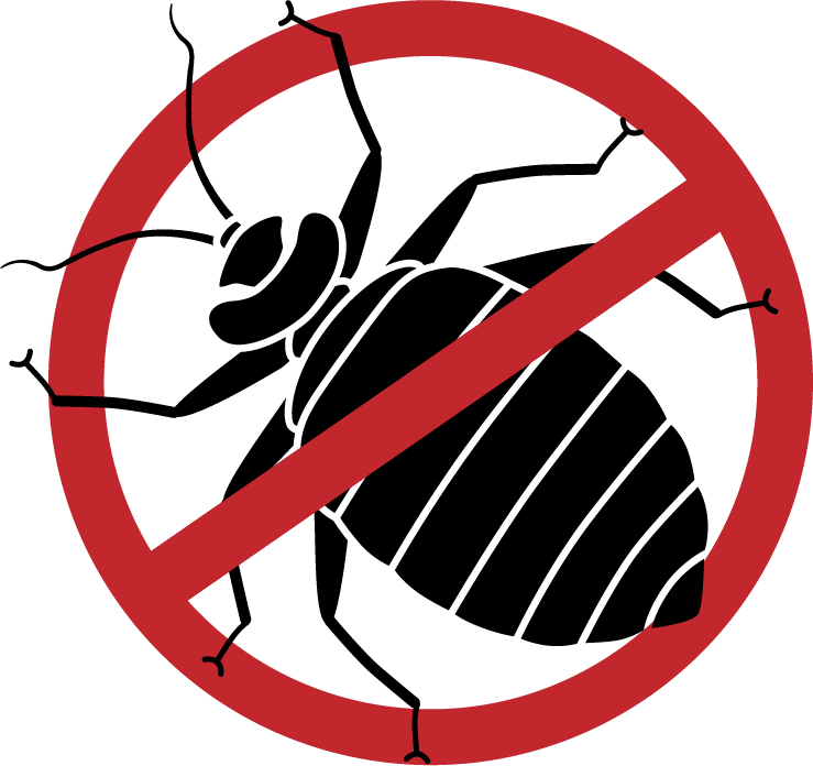 Bed Bugs