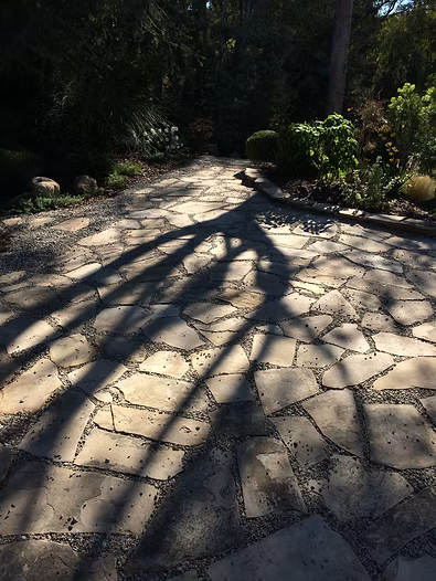Stone path with shadows of tree branches in sunlight.