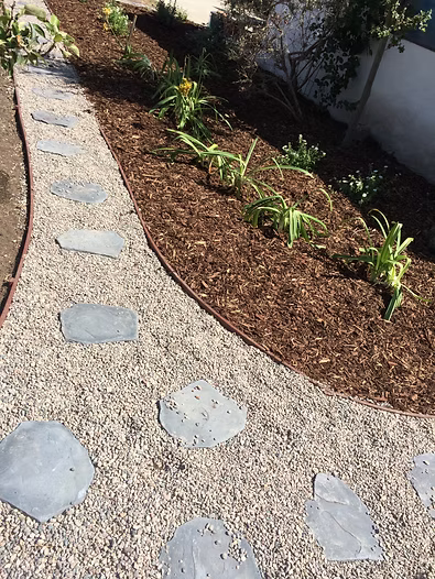 Stone path winding through a landscaped yard with plants, covered with mulch.