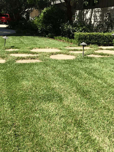 Green lawn with circular stone pathways, two small lights, bushes, and a house in the background.