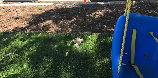 Blue swing hanging in a yard with grass and mulch.