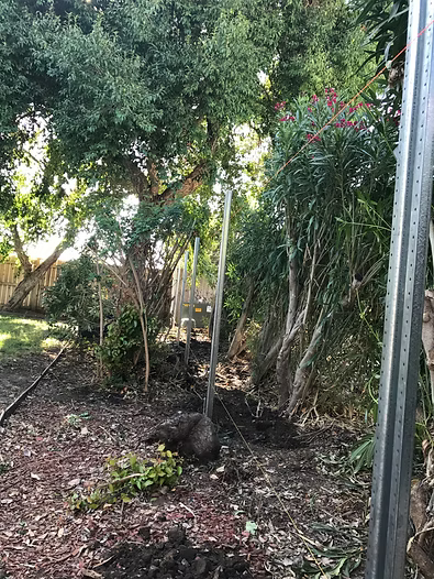 A metal pole in a dirt area, with trees and bushes surrounding.