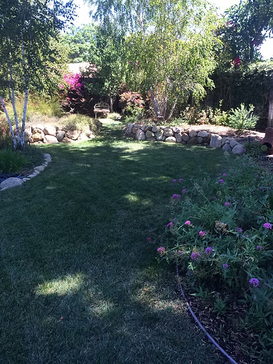Lush green backyard with a grassy area, surrounded by trees, bushes, and a rock border.