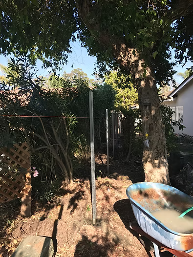 Backyard view with metal fence posts, lush greenery, and a wheelbarrow filled with muddy water.