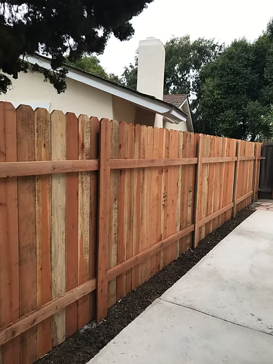 Wooden fence along a concrete path in a residential backyard.
