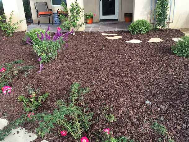 Front yard with dark mulch, plants, and stepping stones leading to a house entrance.