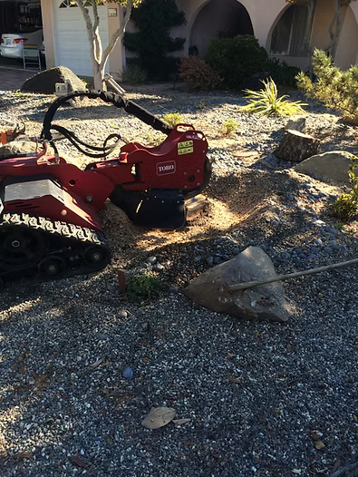 Red stump grinder on gravel clearing brush, next to a shovel.