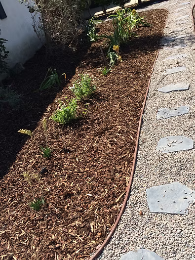 Brown mulch bed with plants and stepping stones.