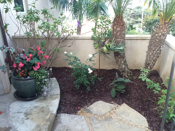 A small garden bed with a potted plant, rose bushes, and palm trees. Brown mulch, stone pathway.
