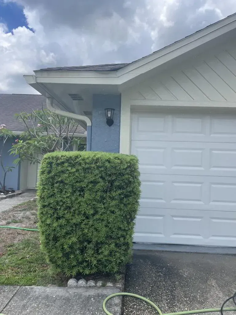 Green shrub in front of a light blue wall and white garage door. Black light fixture on the wall.