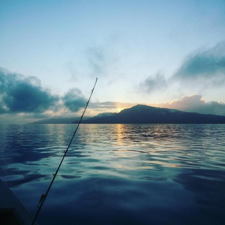 A fishing rod in the water with a mountain in the background