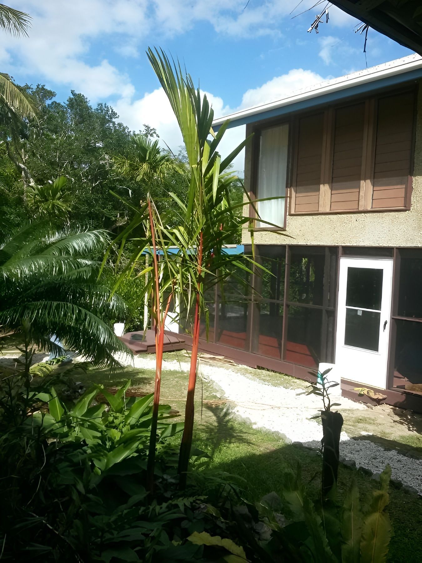 A house with a screened in porch surrounded by palm trees