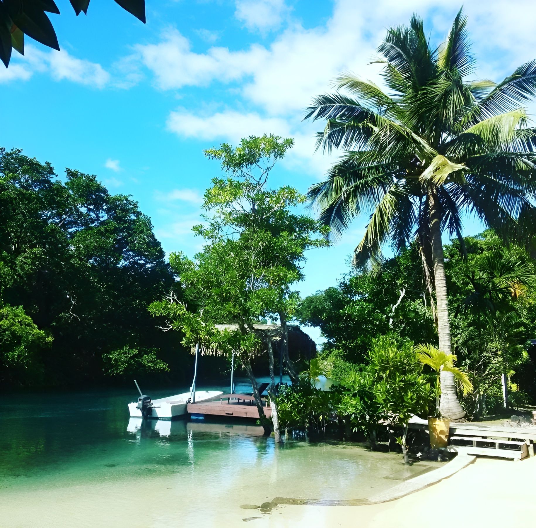 A body of water surrounded by trees and palm trees