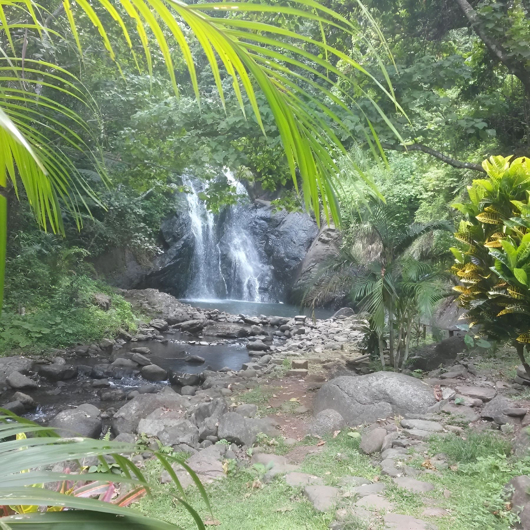 A waterfall in the middle of a lush green forest