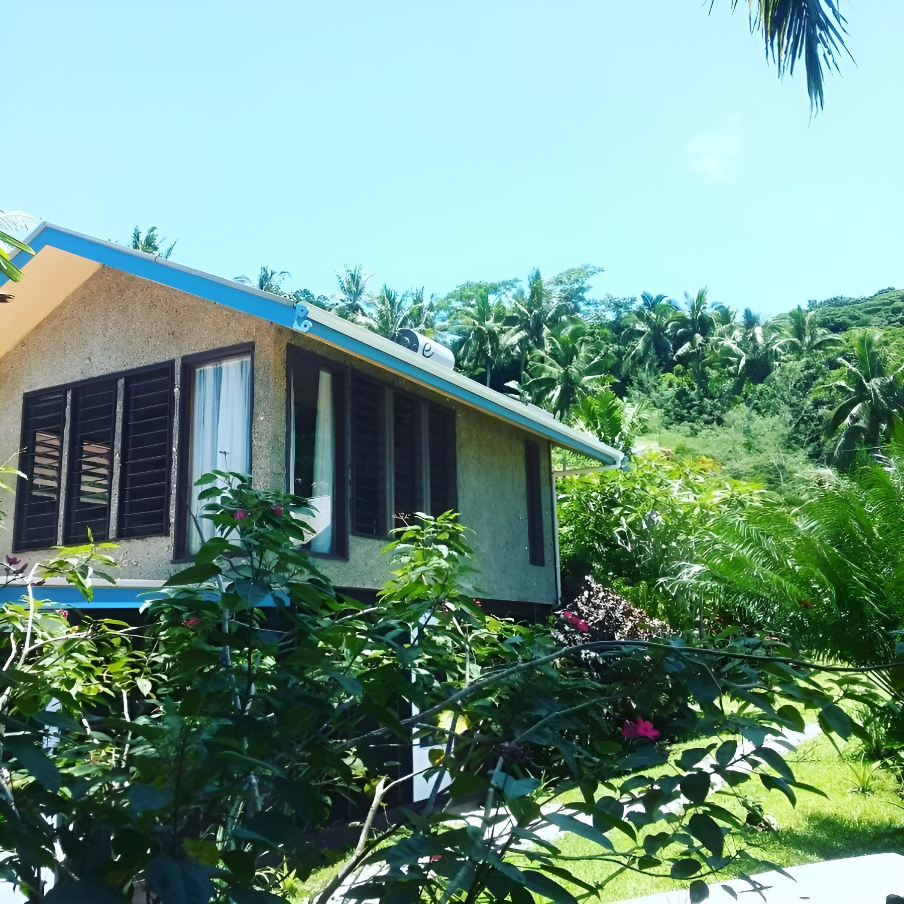 A small house with a blue roof is surrounded by trees and bushes