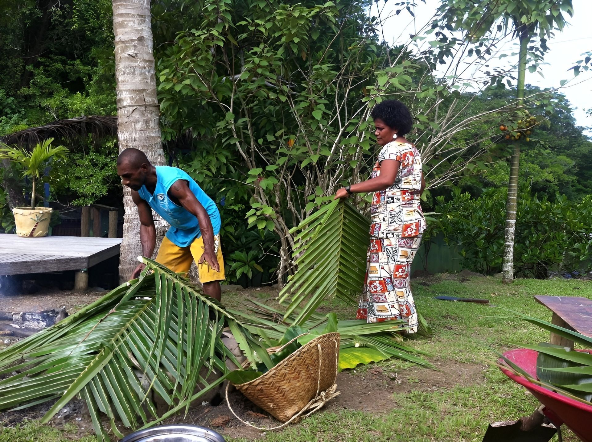 A man and a woman are working on a palm tree