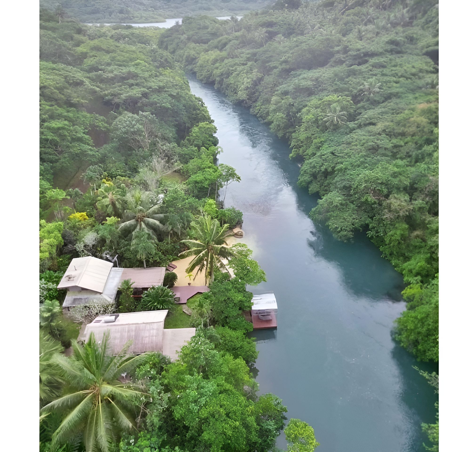 An aerial view of a river surrounded by trees and houses