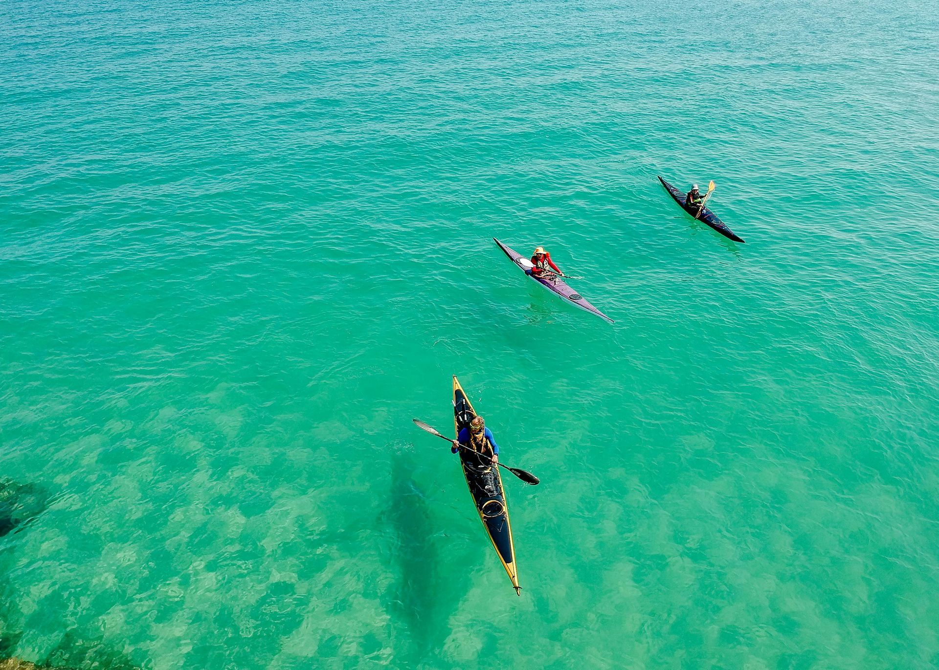 A group of people are kayaking in the ocean.