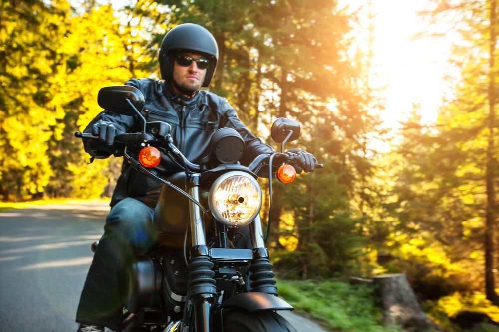 Man rides a black motorcycle on a sunny road through a forest, wearing a helmet, leather jacket, and sunglasses.