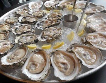 Oysterfest