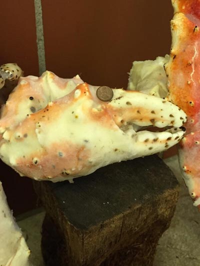 Seafood and Fish Products - York Fish & Oyster CO. - York, PA