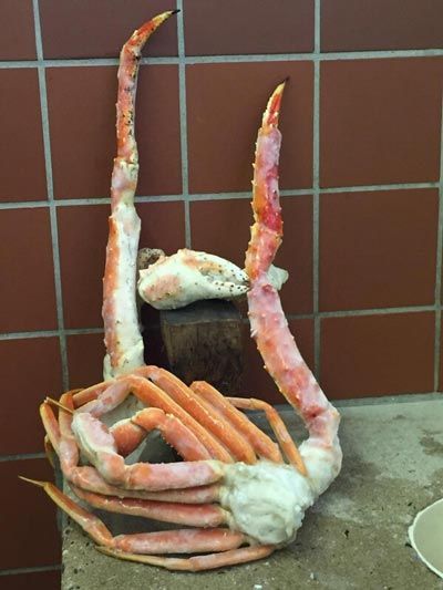 Frozen Fish and Seafood - York Fish & Oyster CO. - York, PA