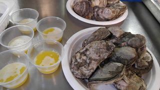 Catering -Steamed Maryland Chesapeake Oysters-min