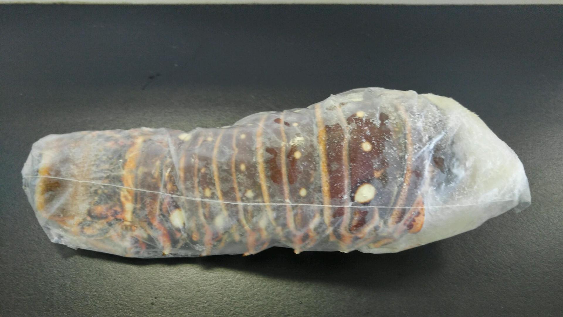 Wholesale — Lobster Tail in York, PA