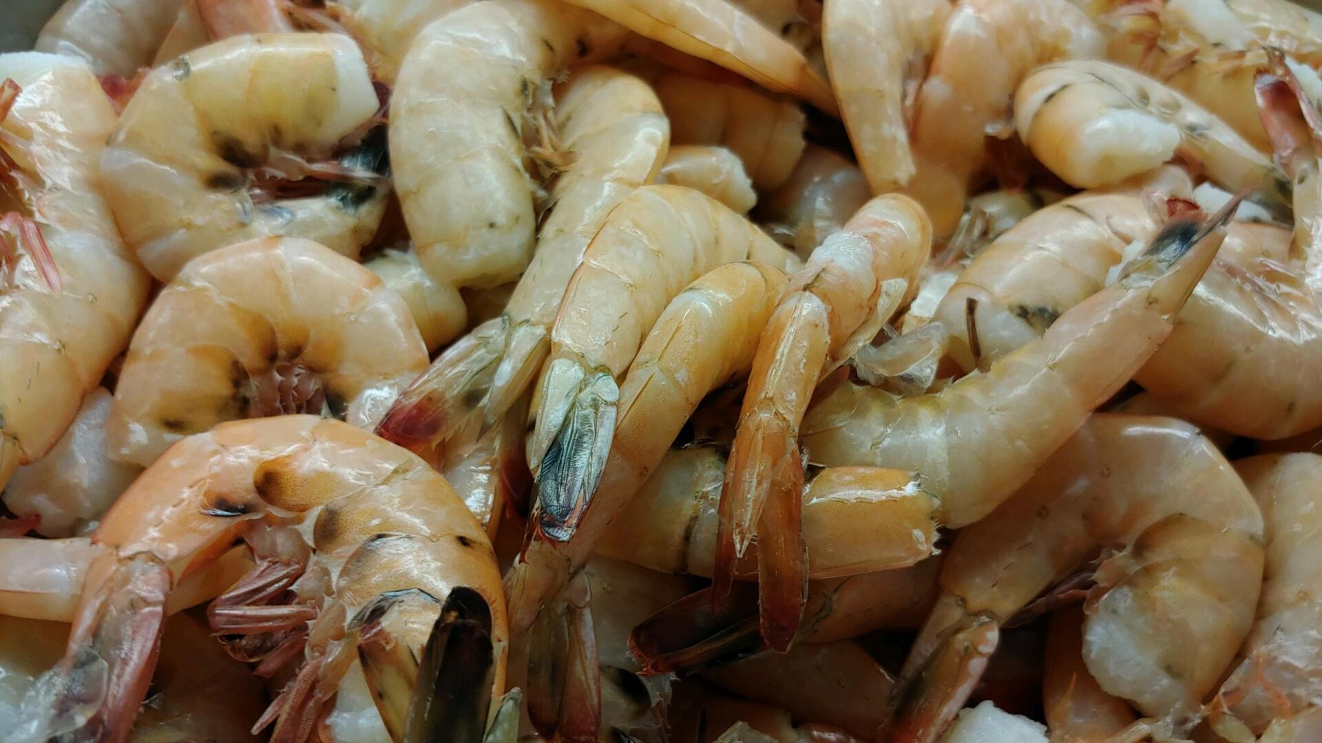 Fresh Seafood York, PA York Fish & Oyster Co