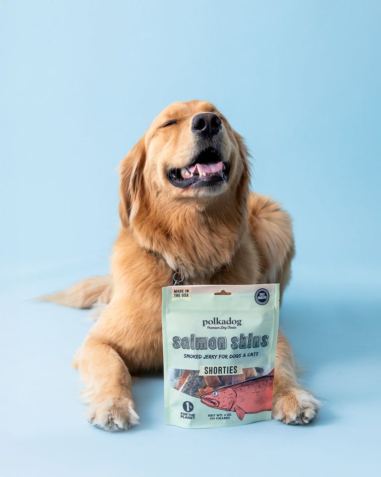 Polkadog salmon skins treat fro dog