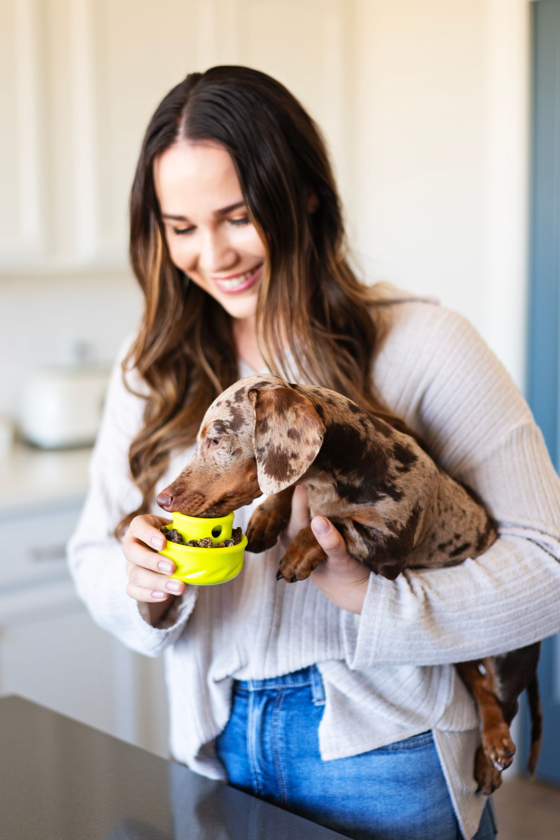 Totally Pooched Toys Pet toys and interactive toys from Canada