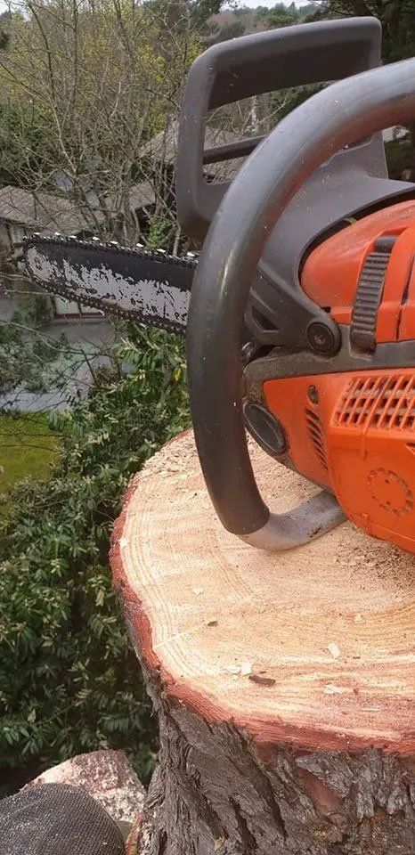 Stump grinding equipment