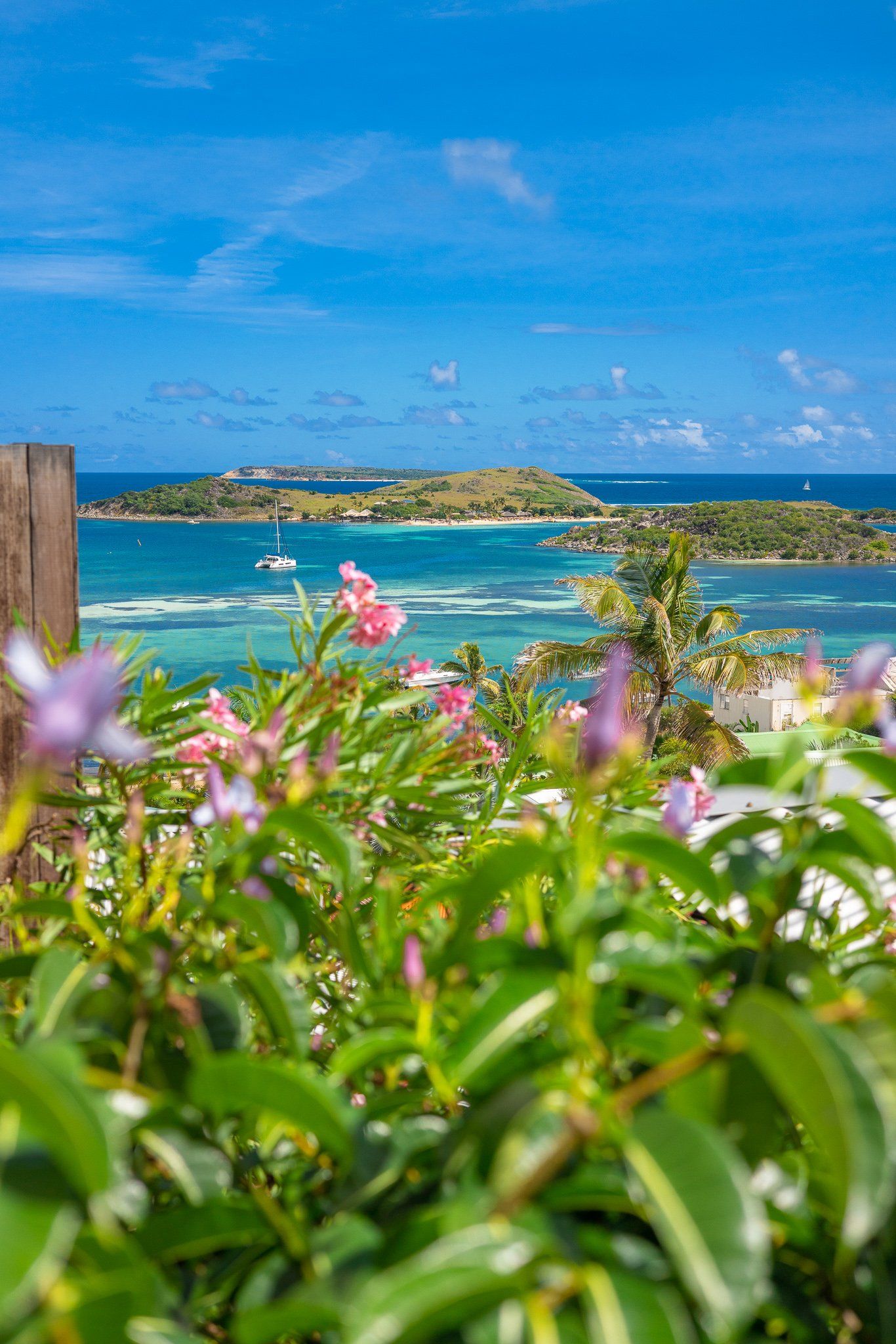 Coastal view with turquoise water, green islands, bright blue sky, and foreground of flowers.