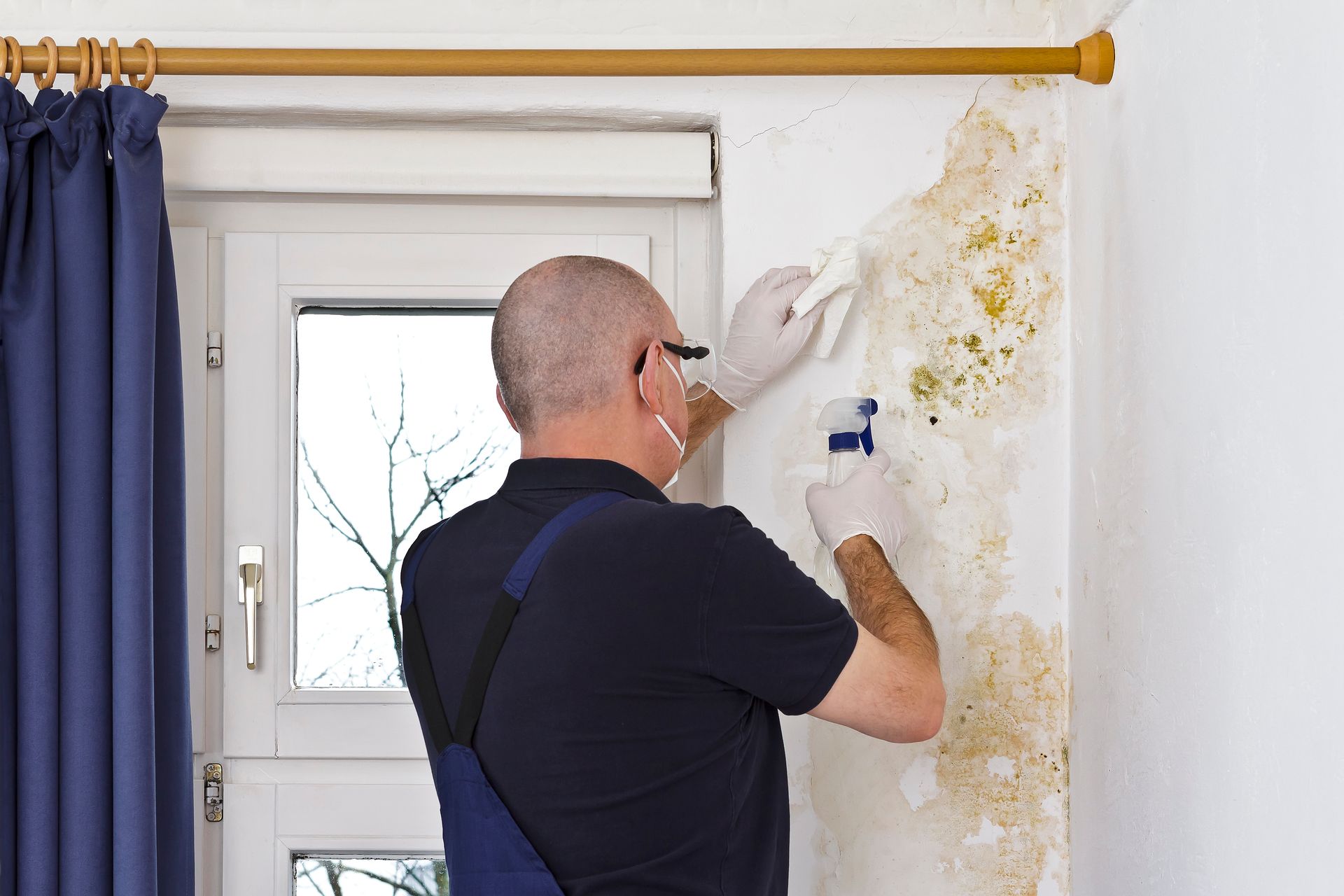 A man is removing mold from a wall.