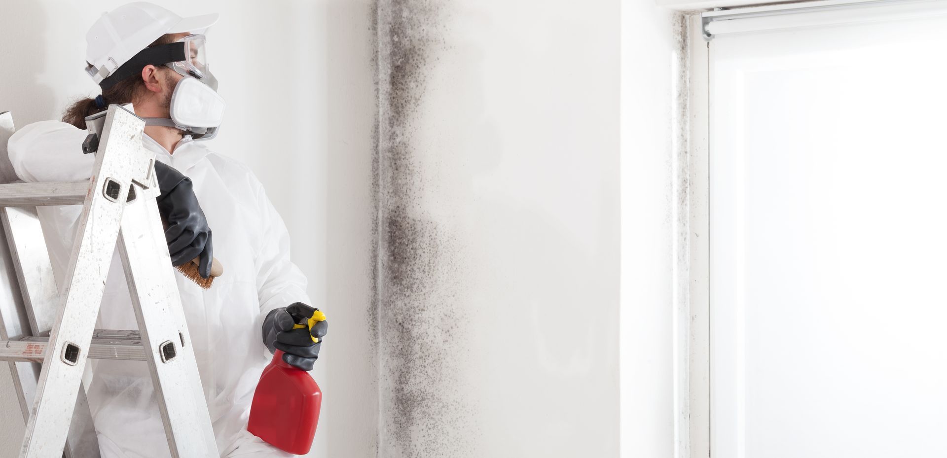 A worker in a protective suit spraying a moldy wall during a removal service.