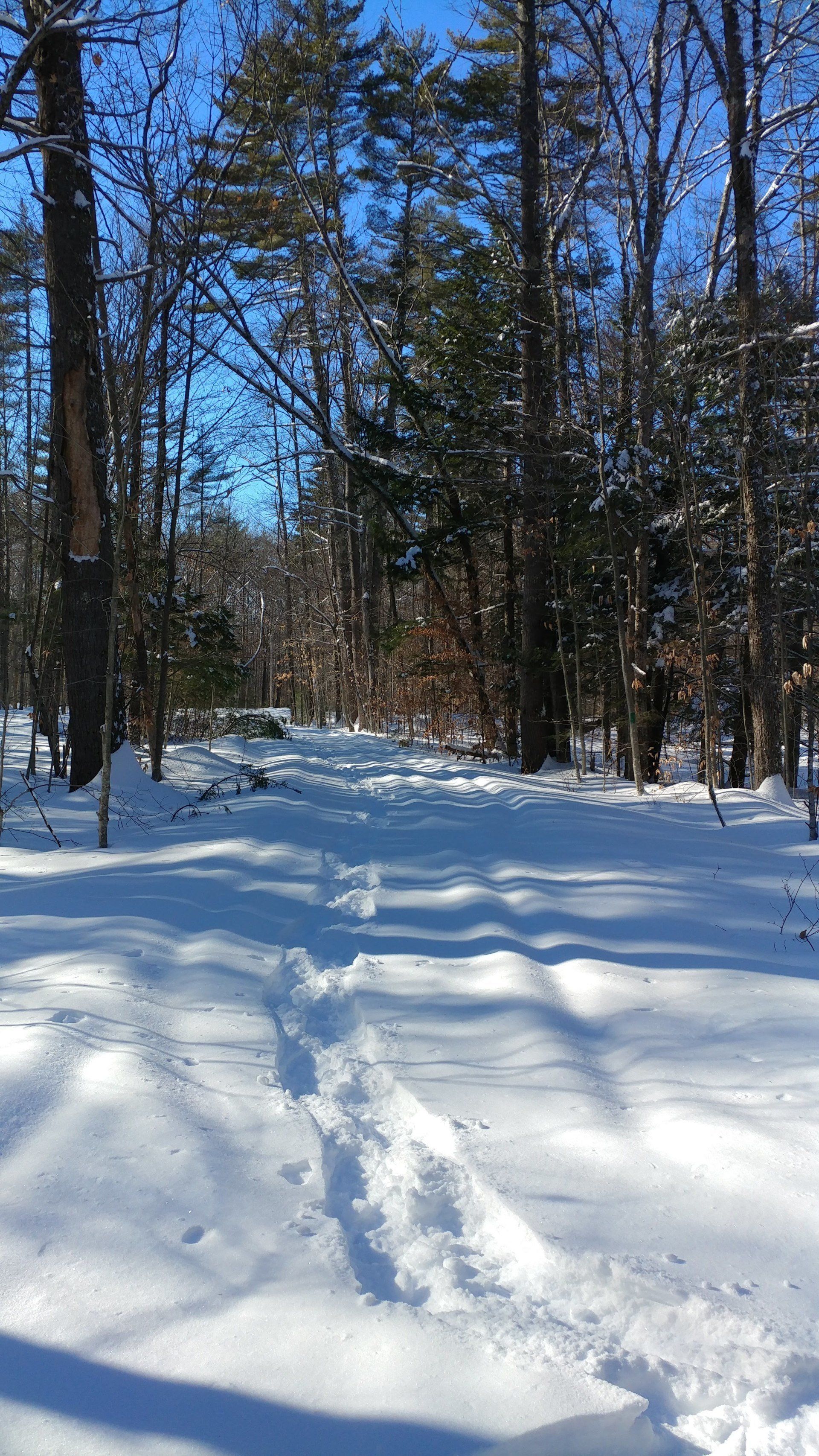 A snowy path in the woods with footprints in the snow.