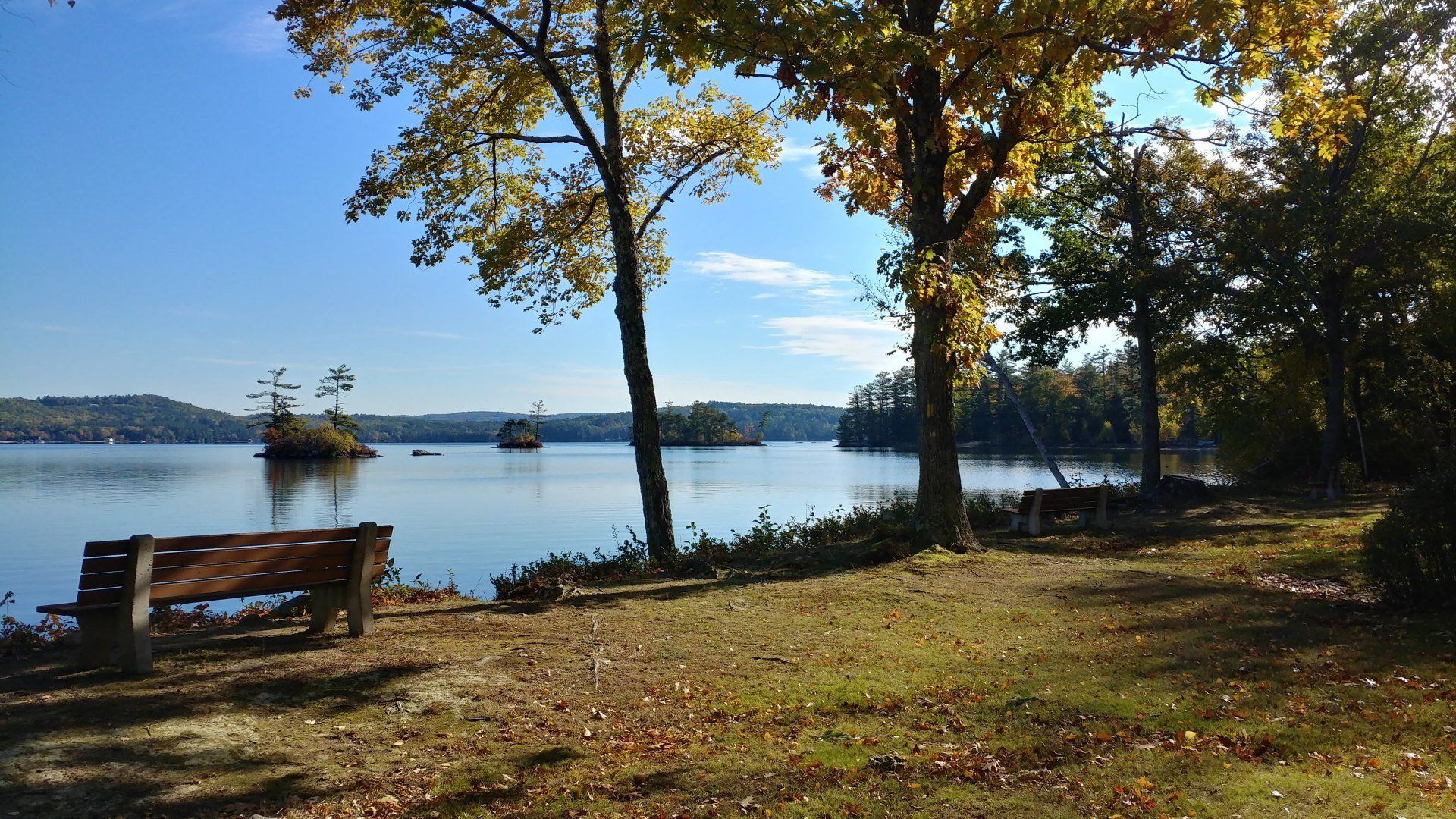 A lake with trees and a bench in the foreground