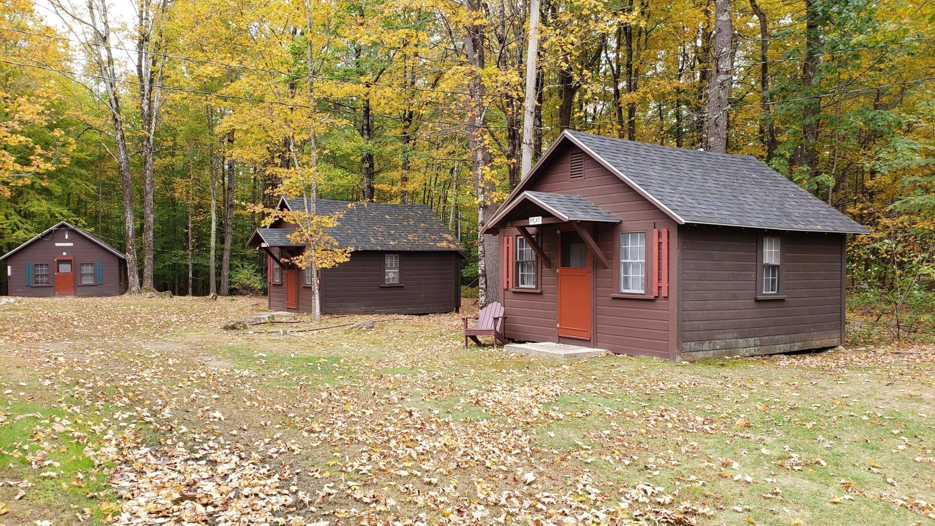 A group of small cabins in the middle of a forest.