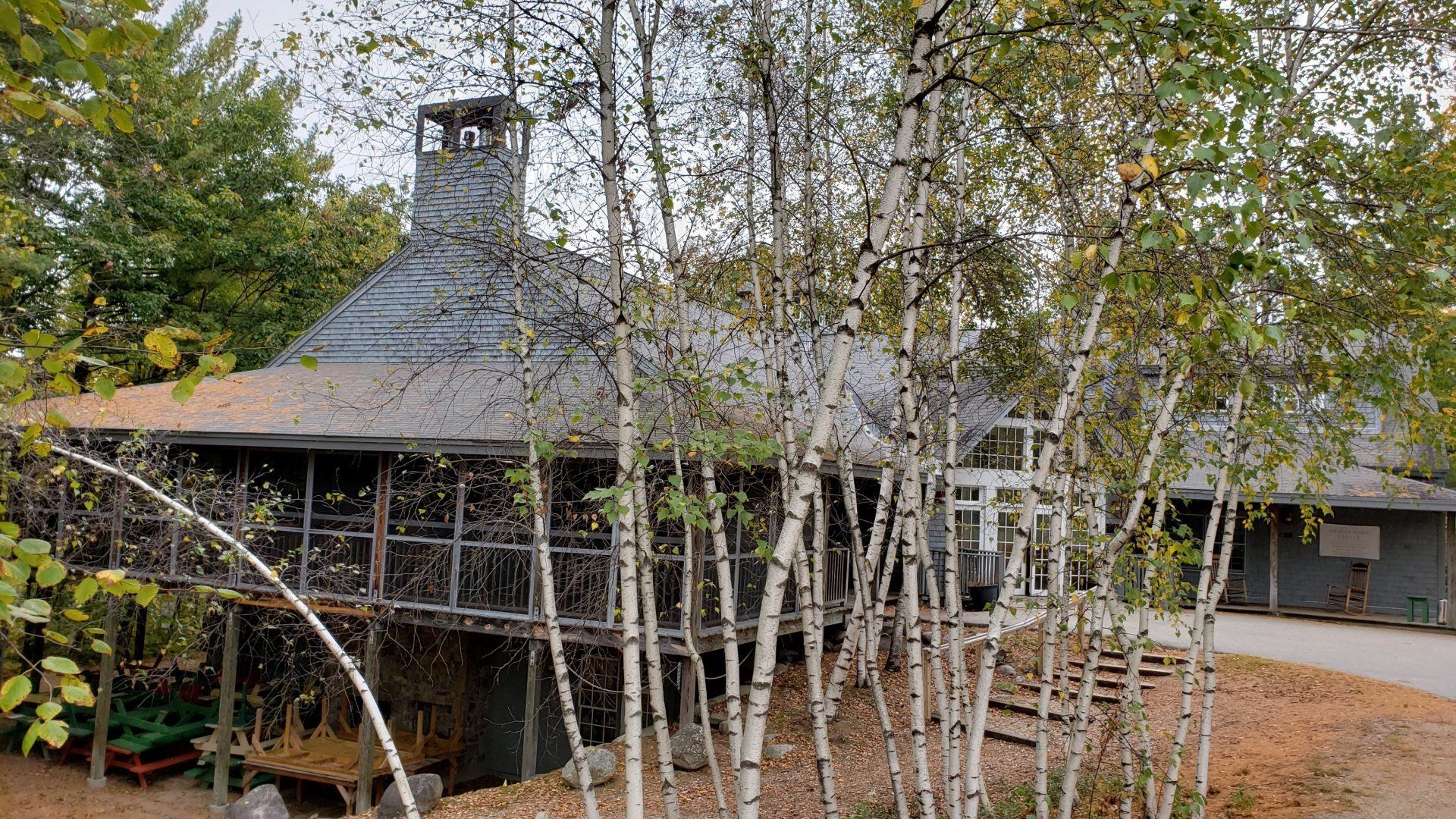 A large house is surrounded by trees and a driveway.