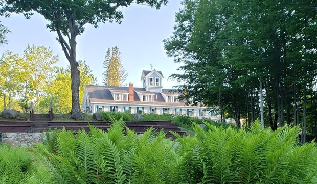 A large house is surrounded by ferns and trees