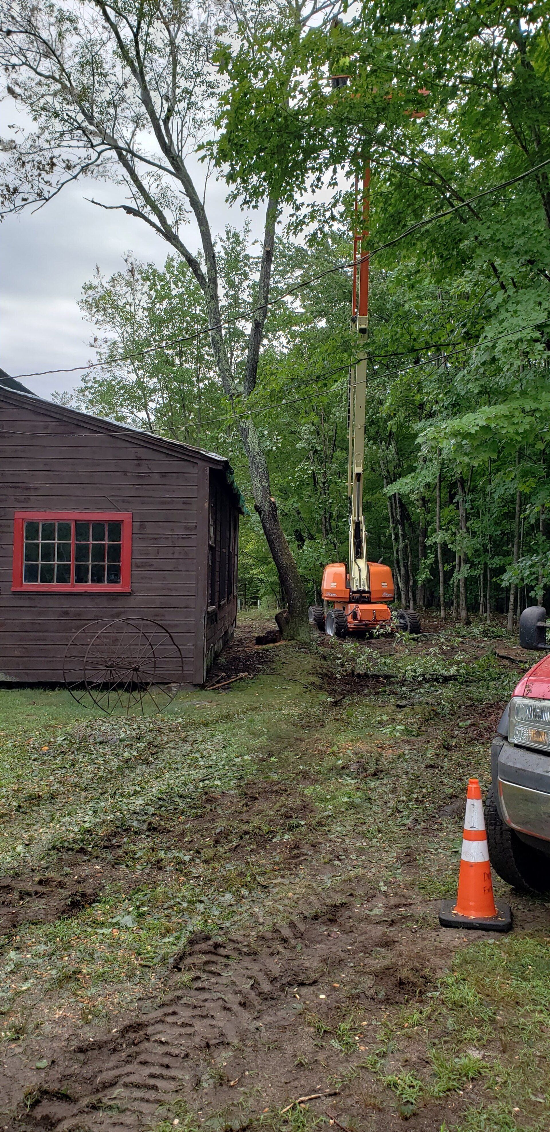 A tree is being cut down in front of a house.