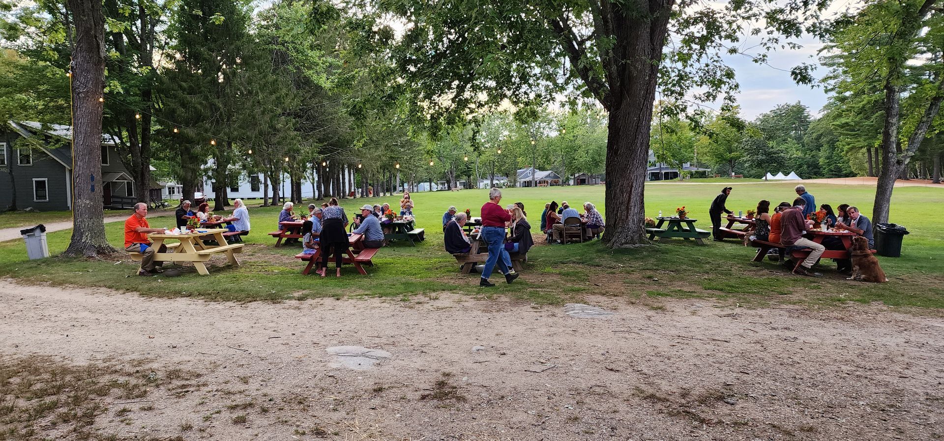 A group of people are sitting at picnic tables in a park.