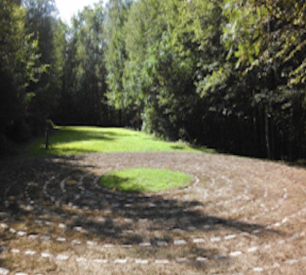 A labyrinth in the middle of a forest with trees in the background