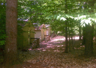 A house in the middle of a forest with leaves on the ground