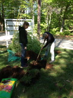 A man and a woman are digging a hole in the ground