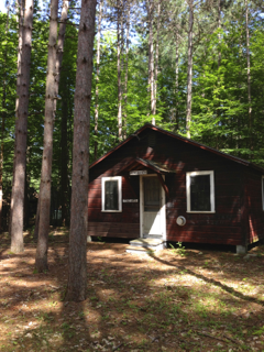 A small red cabin in the middle of a forest