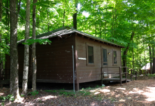 A small brown cabin in the middle of a forest