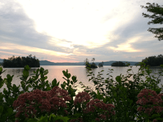 A sunset over a lake with flowers in the foreground