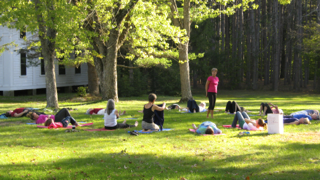A group of people are doing yoga in a park.